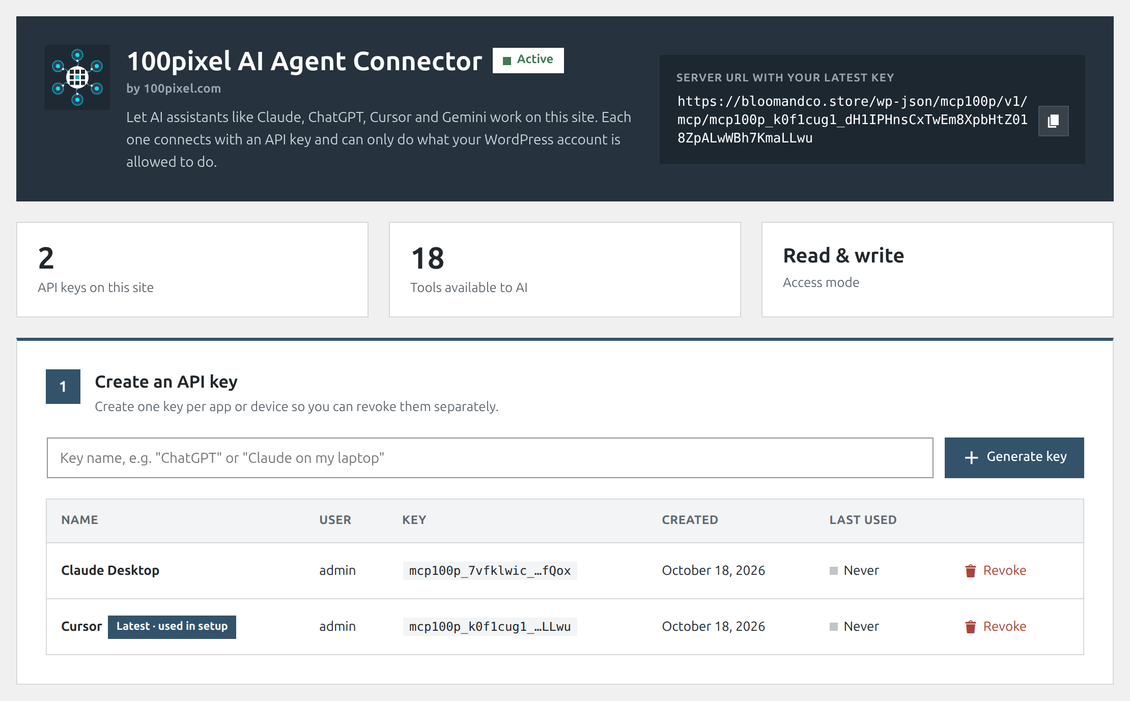 Connection screen with your ready-to-use server URL and API keys.