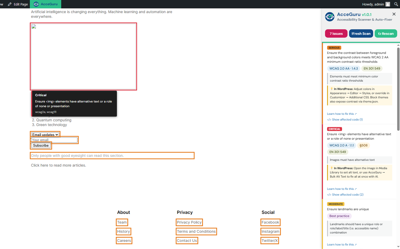 Front-end overlay highlighting accessibility issues on the live page.