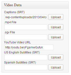 Accessible Video Library meta box