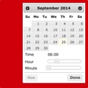 Date and Time Picker Field Icon