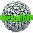 Add Metadata