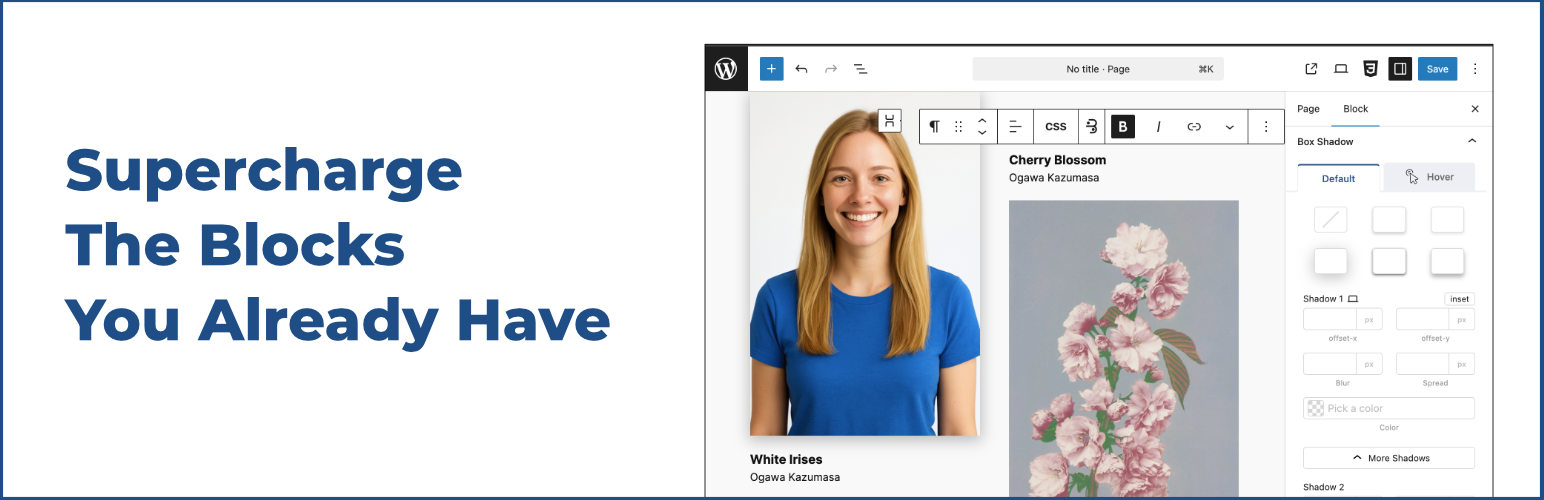 Advanced Block Controls (ABC) — Core Blocks Page Builder and Full Site Editing Toolkit