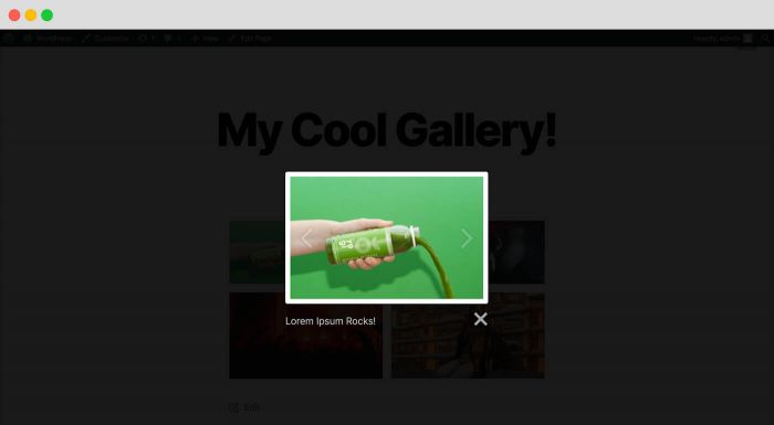 Gallery Enhancements: PublishPress Blocks has major improvements for the default WordPress galleries, including lightbox displays, image captions, and better image navigation.