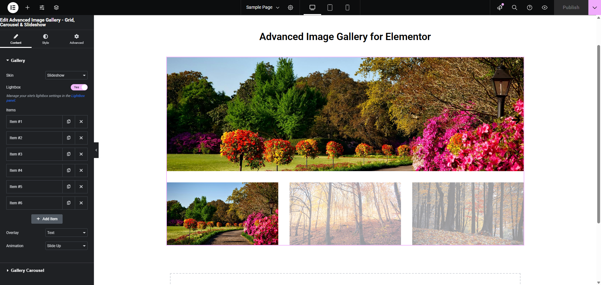 Slideshow View - Professional slideshow with thumbnail navigation and full-screen mode