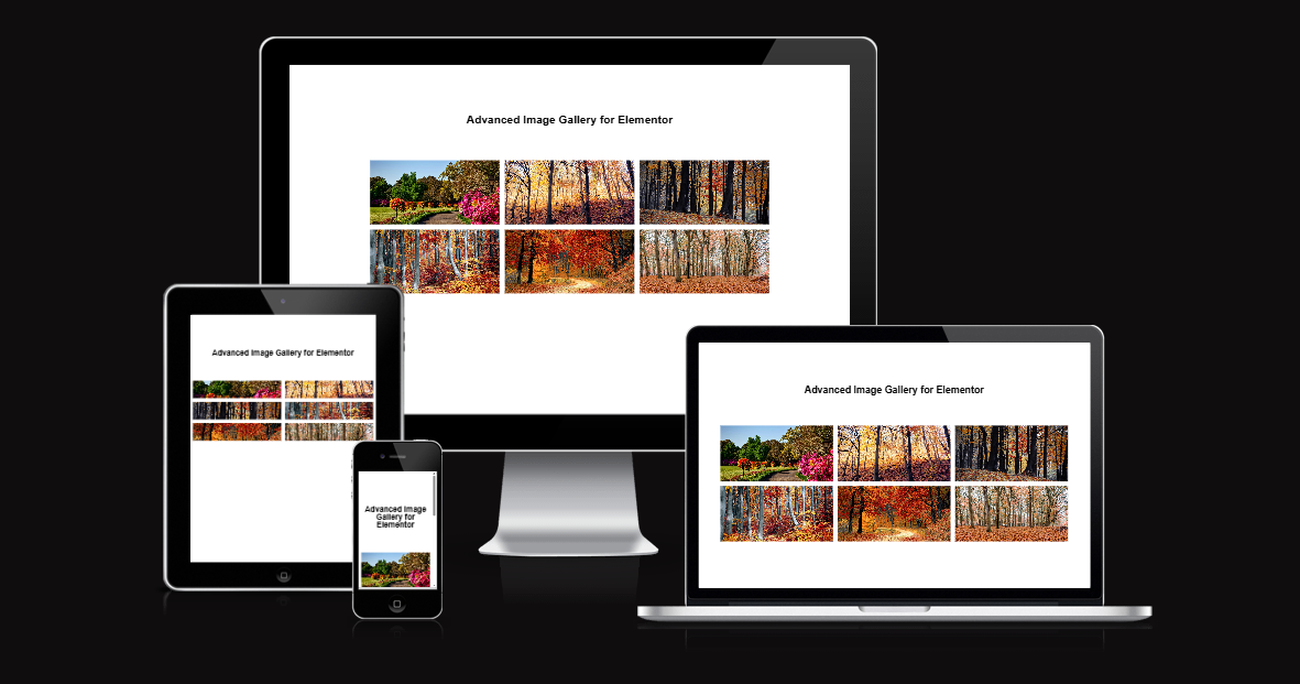 Responsive Design - Perfect display across desktop, tablet, and mobile devices