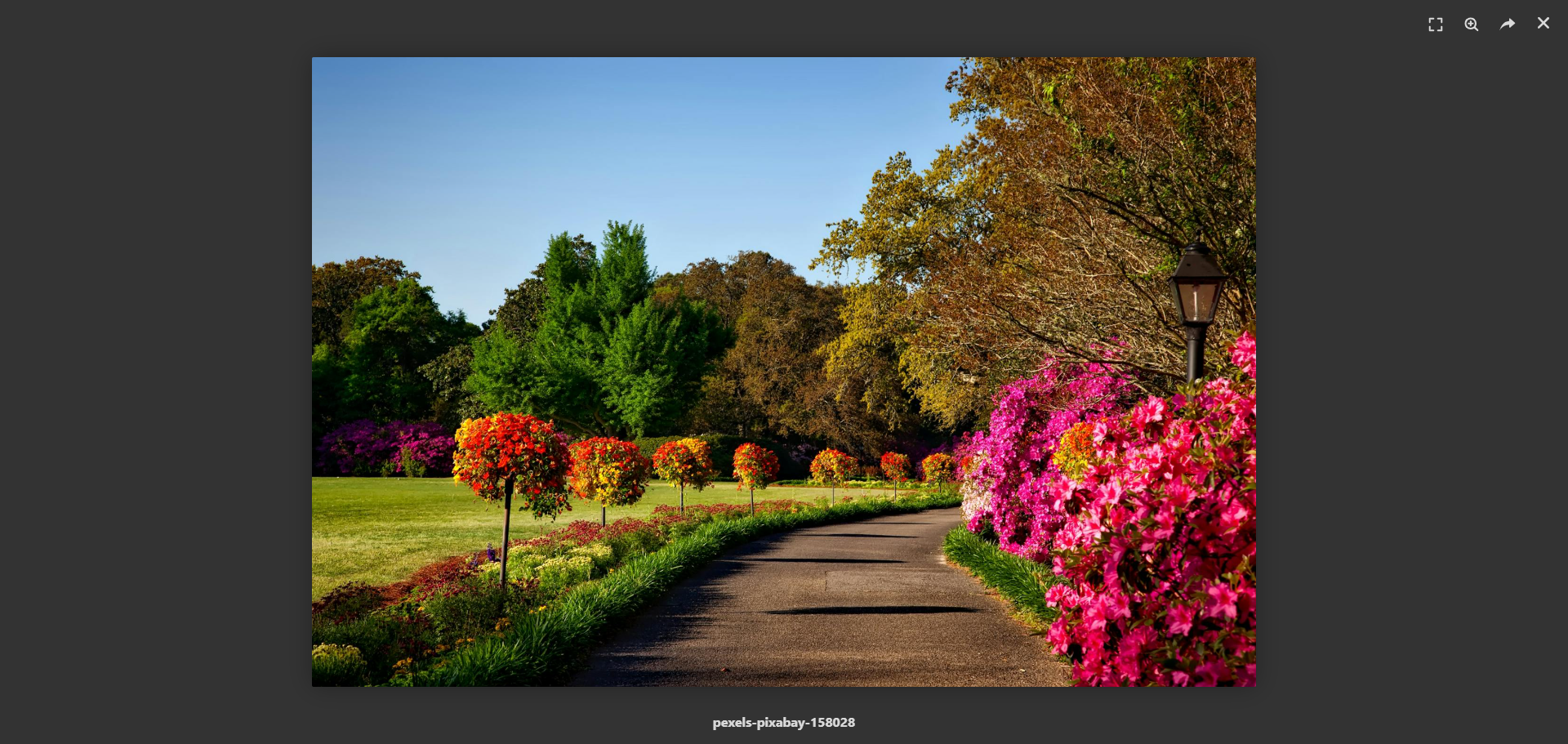 Lightbox Feature - Full-screen image viewing with smooth transitions