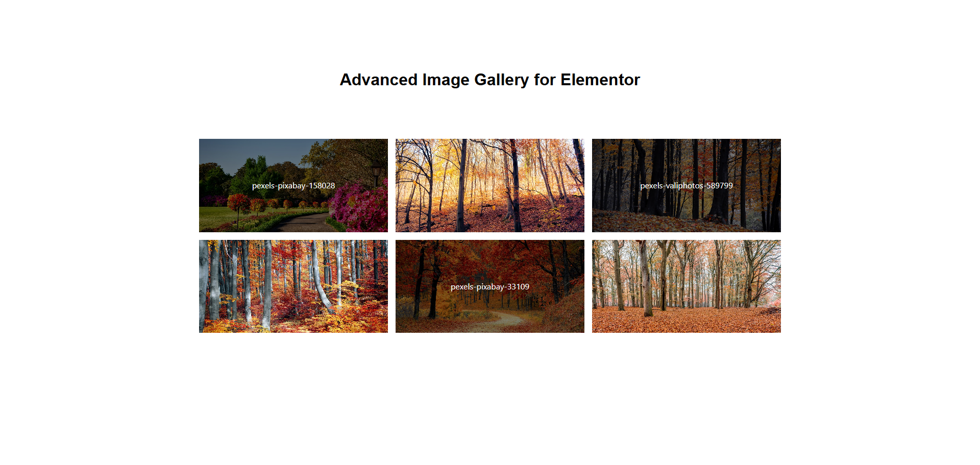 Overlay Effects - Text and icon overlays with multiple animation options