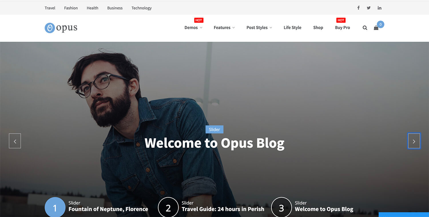 The frontend of Opus Blog after Import