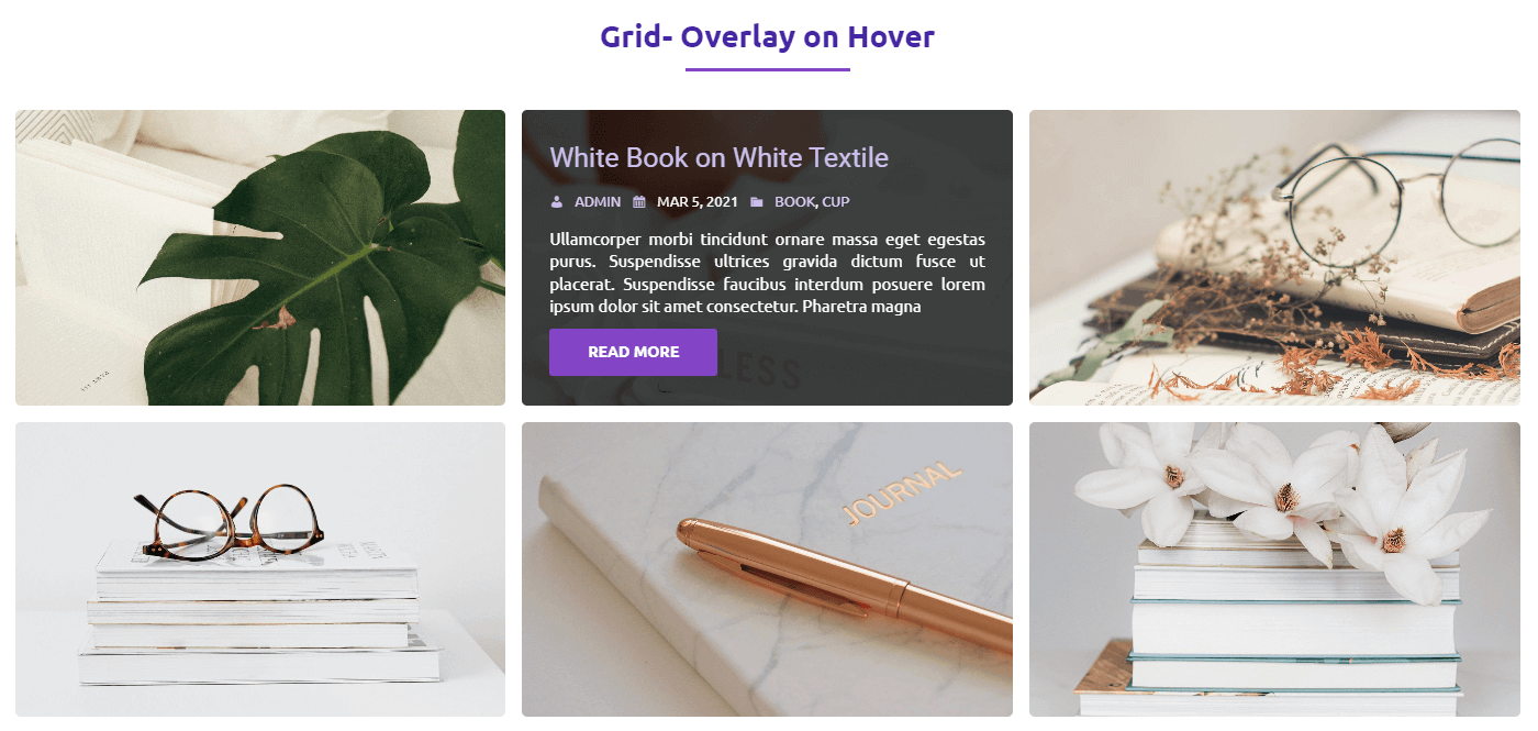 Grid- Overlay on Hover