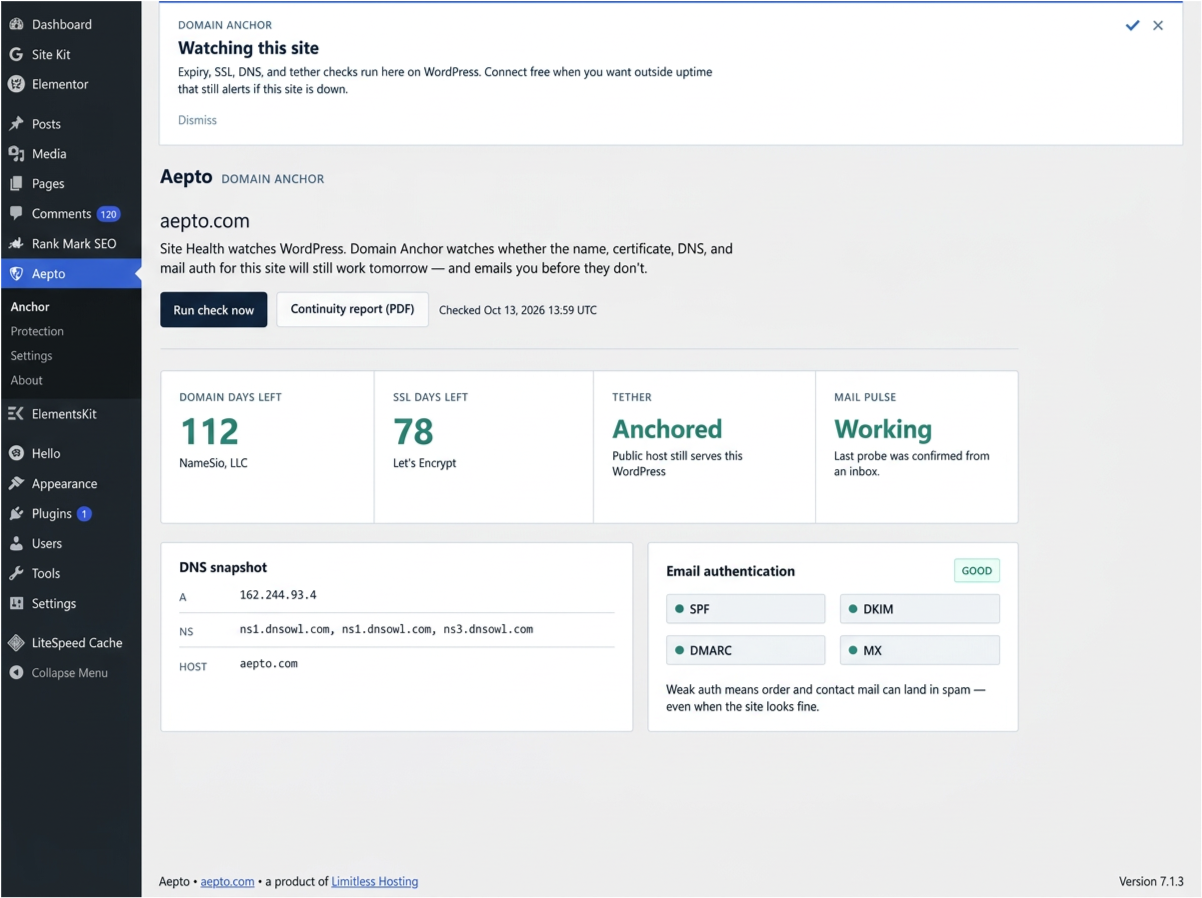 Domain Anchor — countdown, DNS, email auth
