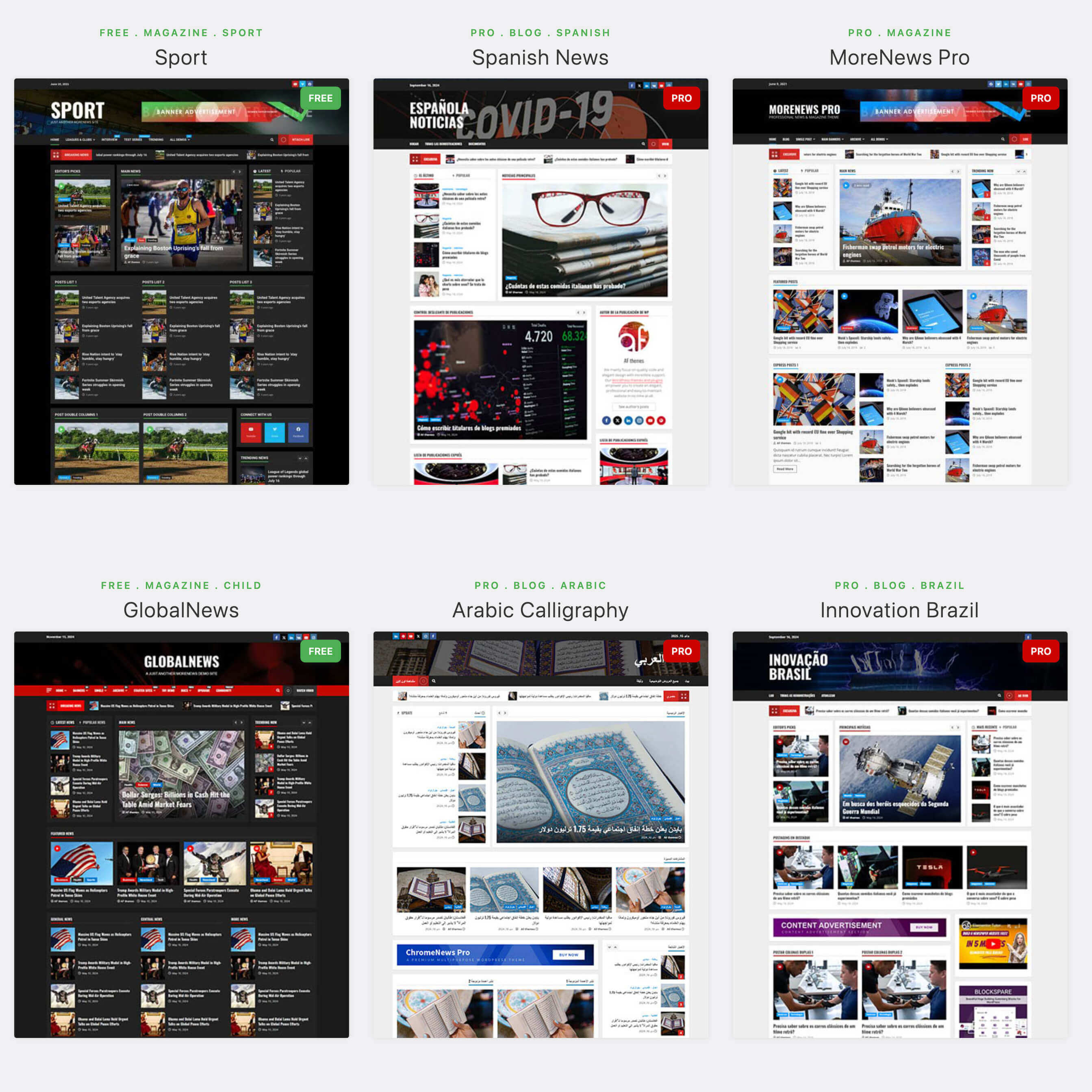 The Launchpad: Browse through 100+ professional starter sites across news, magazine, and business niches.