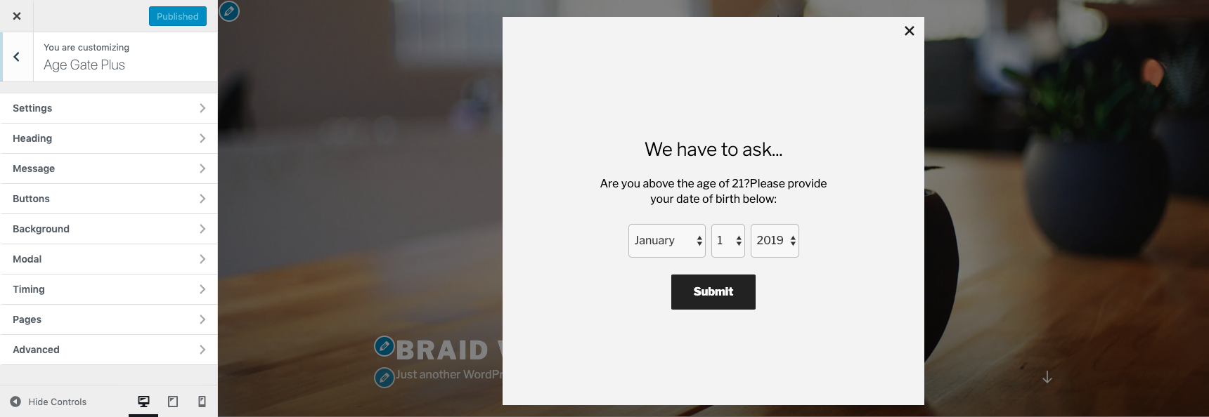 Admin Customizer Age Gate Example