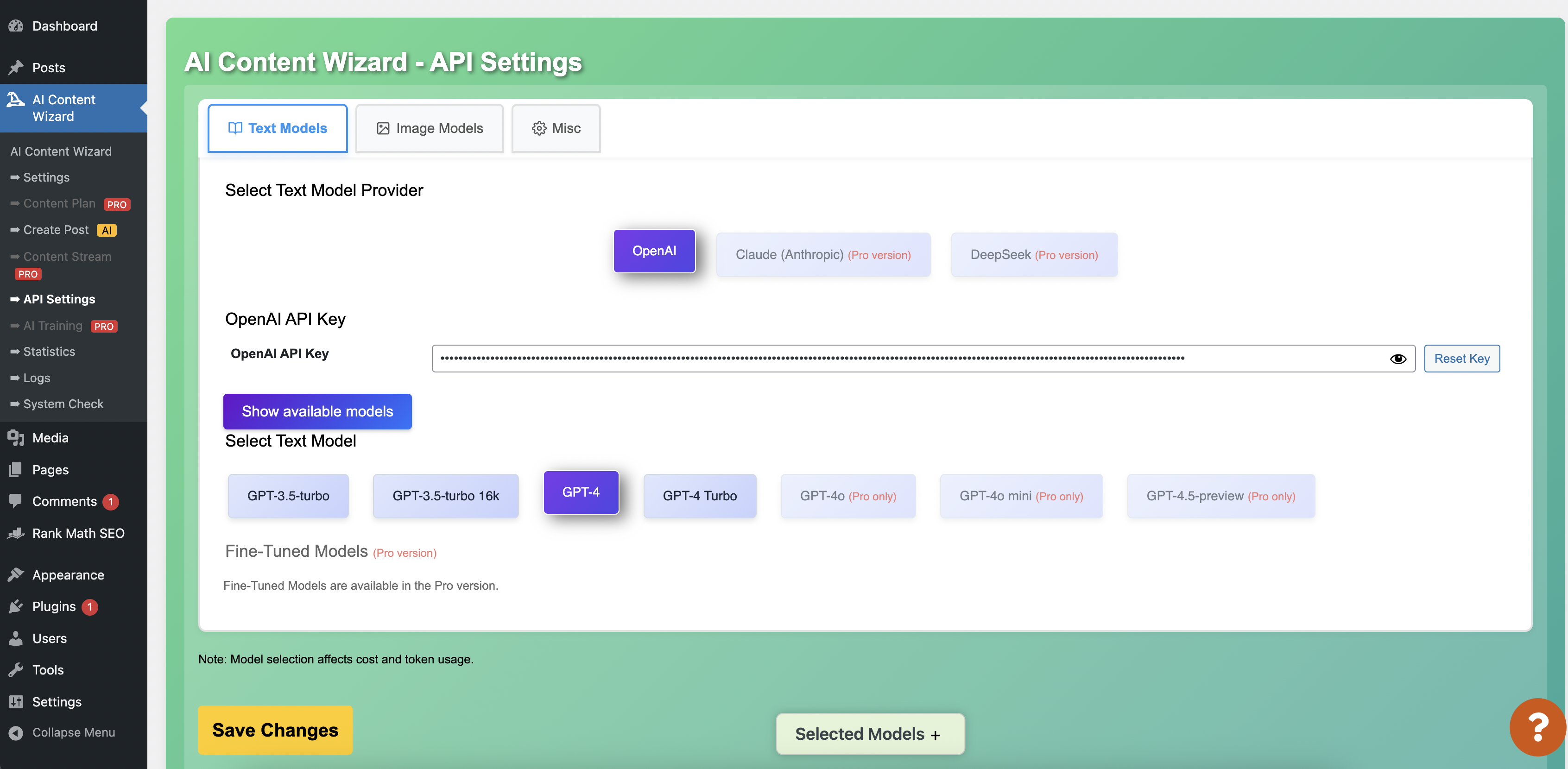 <strong>API Settings Page</strong> – Interface for managing your OpenAI API key and related API settings.