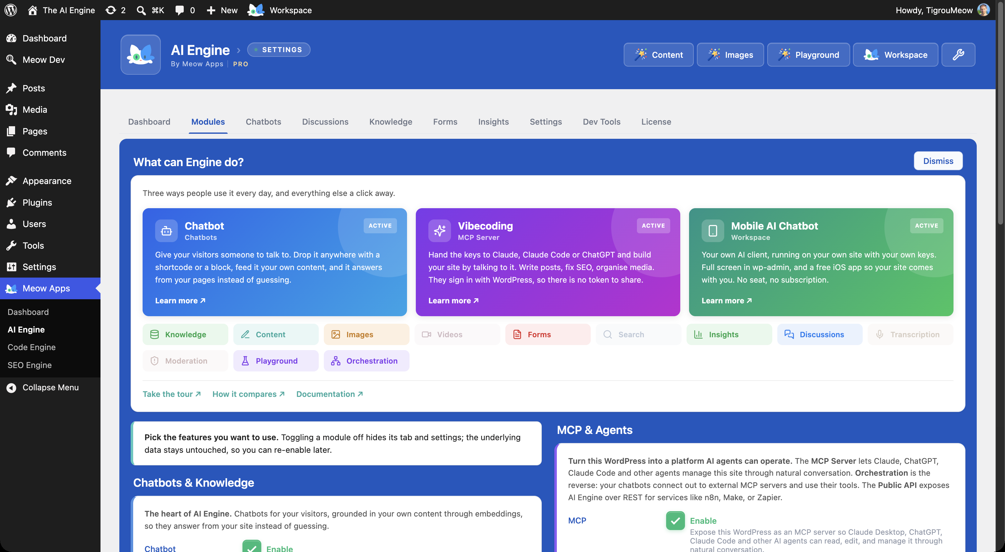 The Modules tab: pick what you want AI Engine to do, from chatbots to MCP, and see the three main ways people use it.