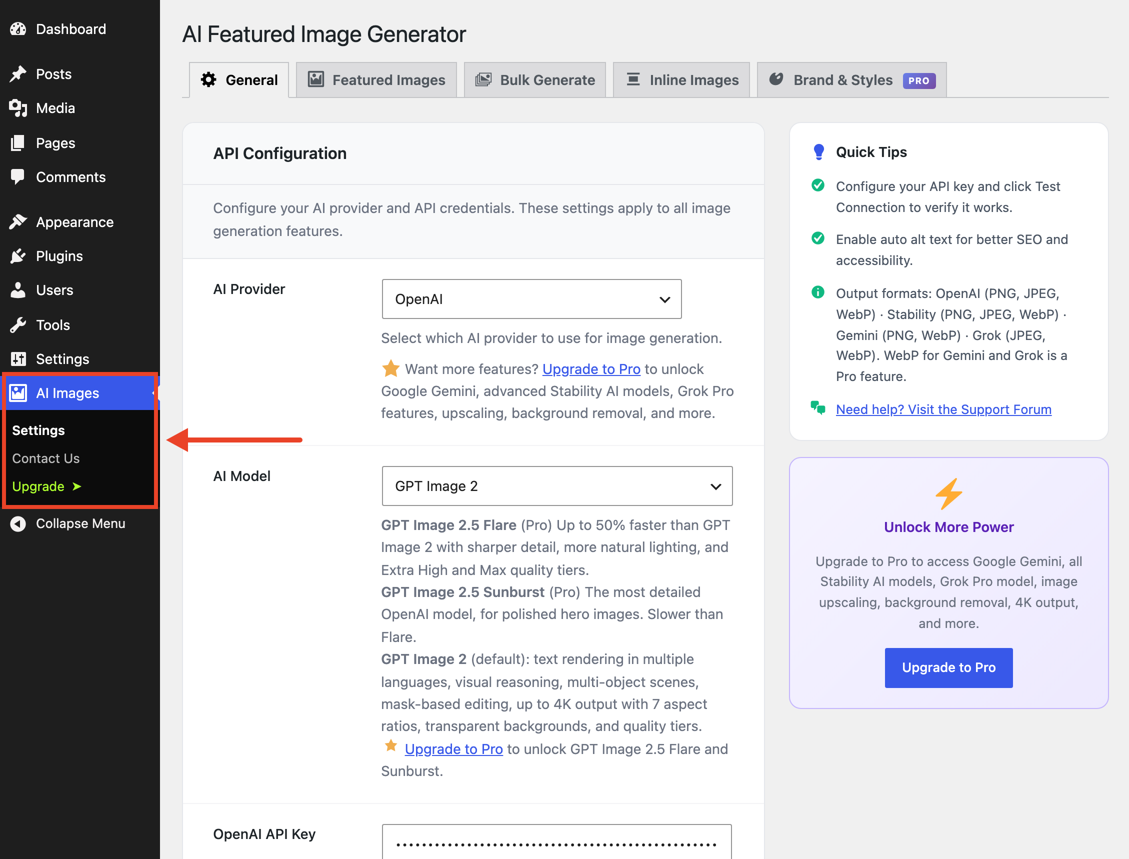 General settings: API configuration, AI provider, and AI model selection