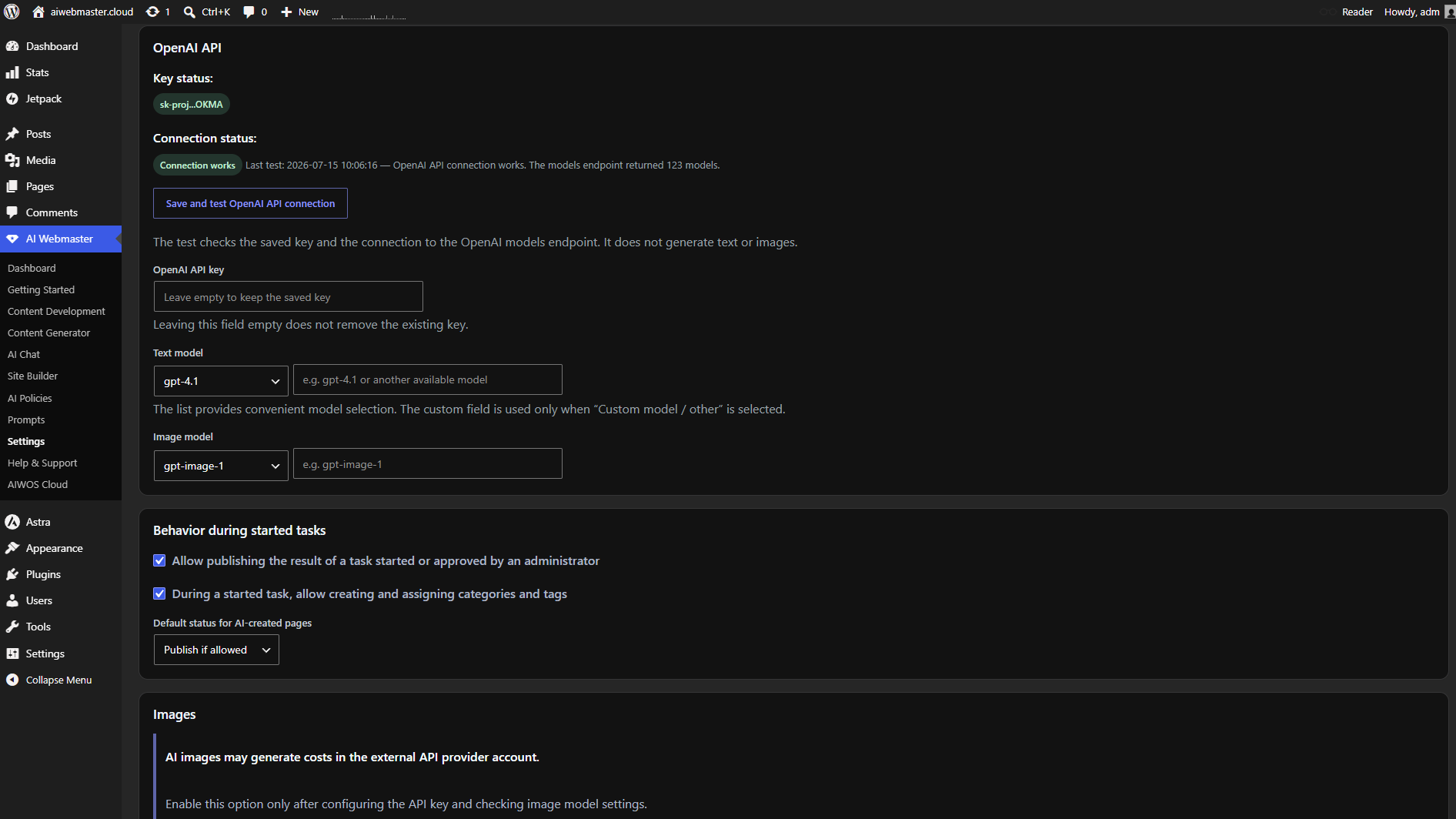 OpenAI API settings and connection status.