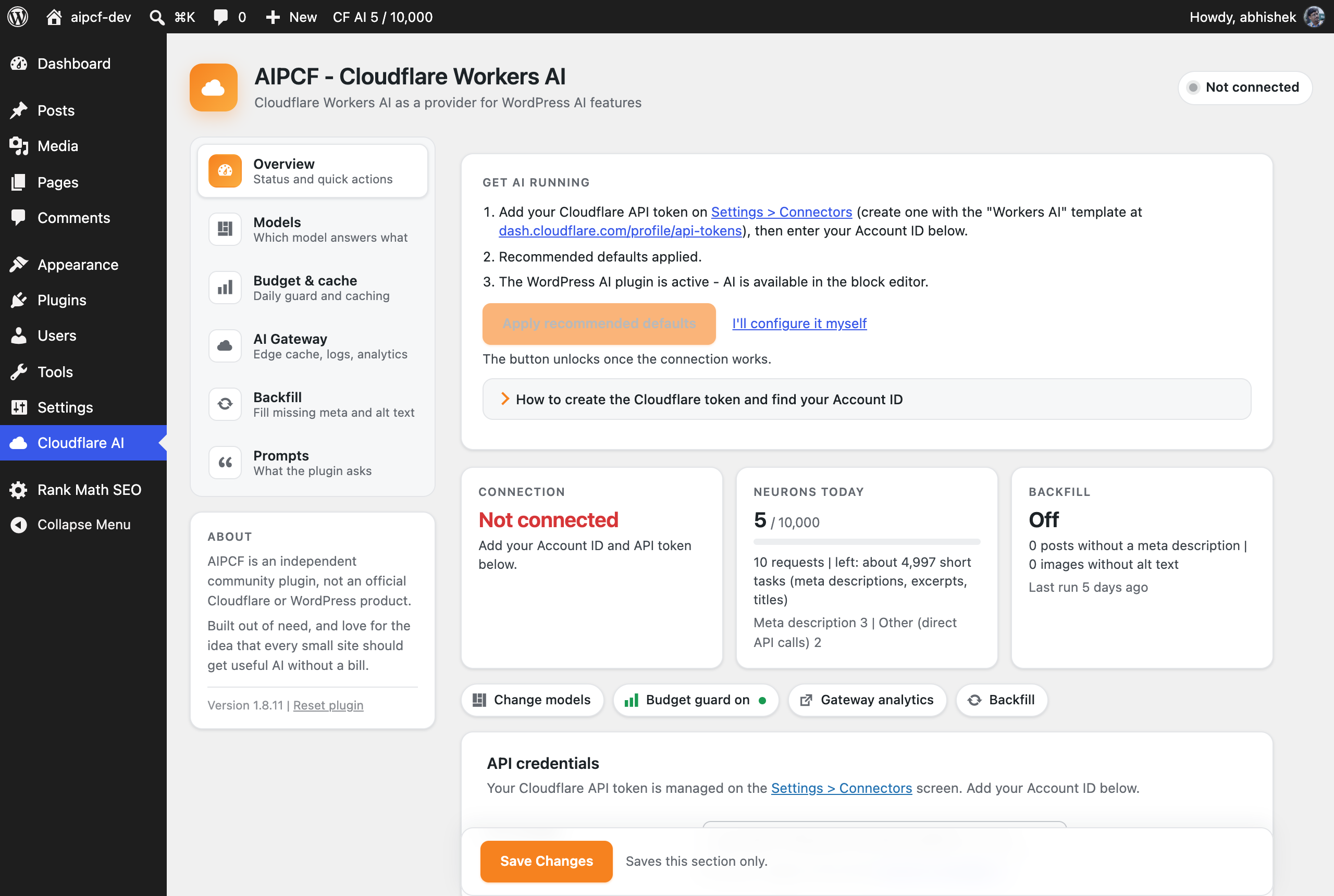 Setup panel after activation - connect, apply the recommended defaults, and the recommended AI plugin.