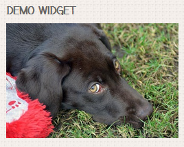 Alewb Image Widget - Screenshot 1