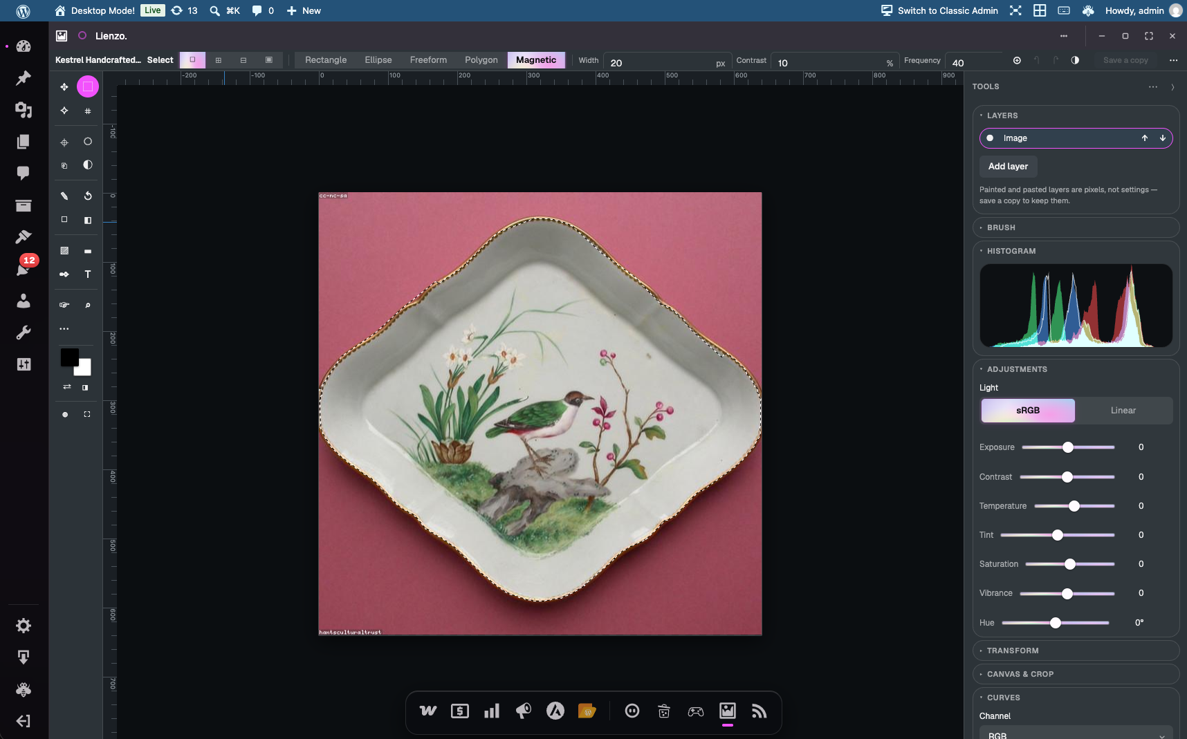 The editor as a desktop window: the tool rail on the left, the layer stack, a live histogram and every adjustment on the right, and the magnetic lasso following the edge of a plate.