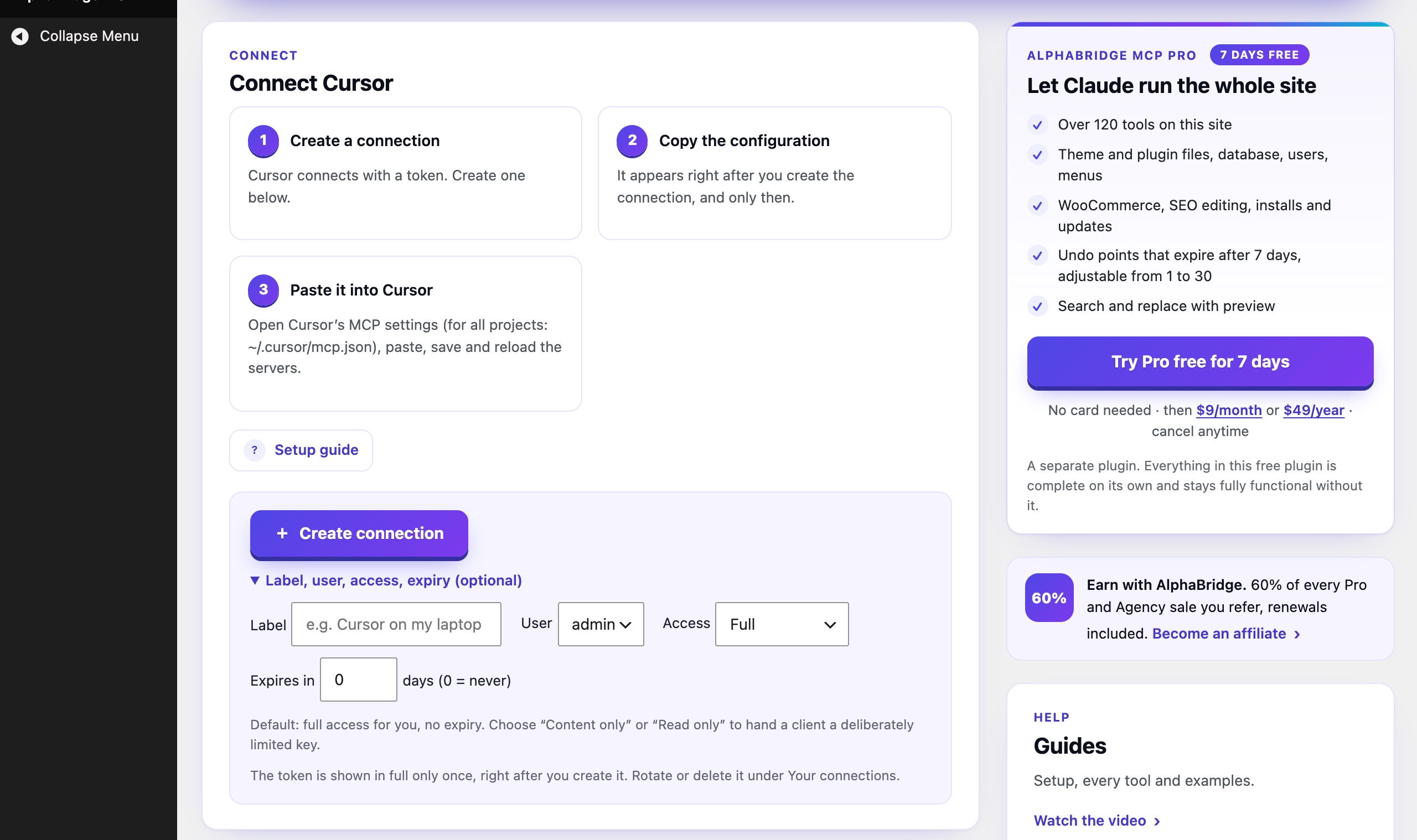 Optional advanced settings for a connection: a label, the WordPress user it acts as, full, content-only or read-only access, and an optional expiry in days.