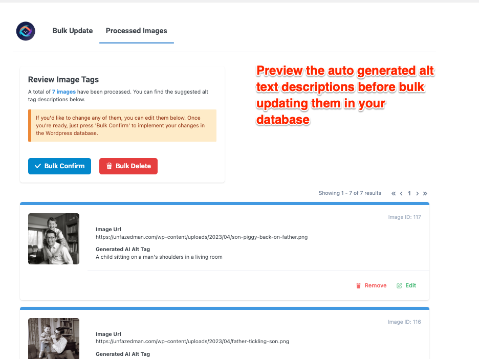 Shows how you can preview all the auto-generated alt tag descriptions before bulk updating them in your database.