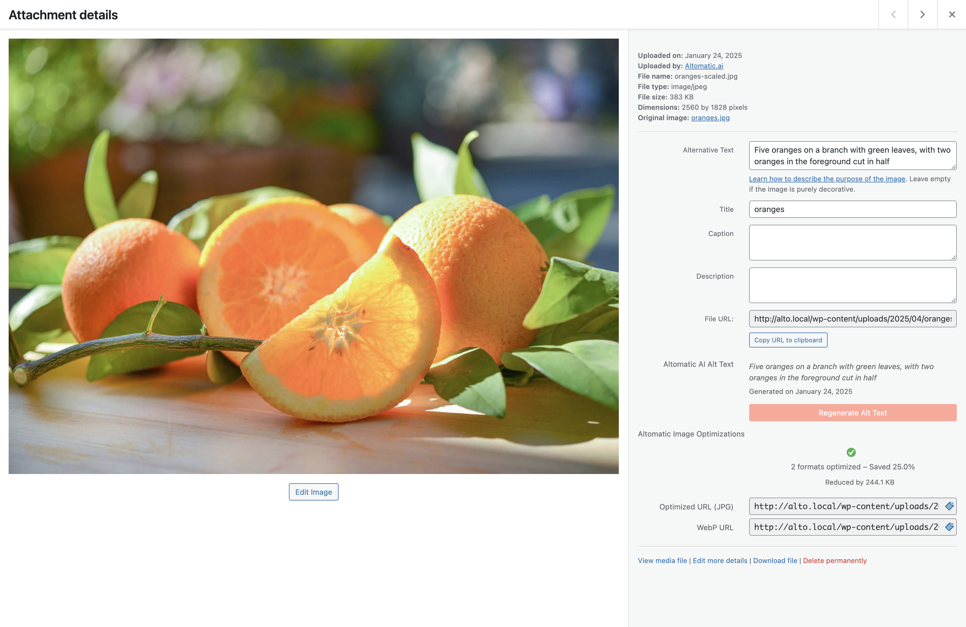 Plugin dashboard showing optimization stats