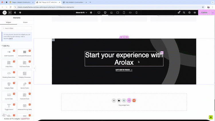 **Section Import (Live Copy)* One-click live copy & import of pre-designed animation sections directly into your projects.