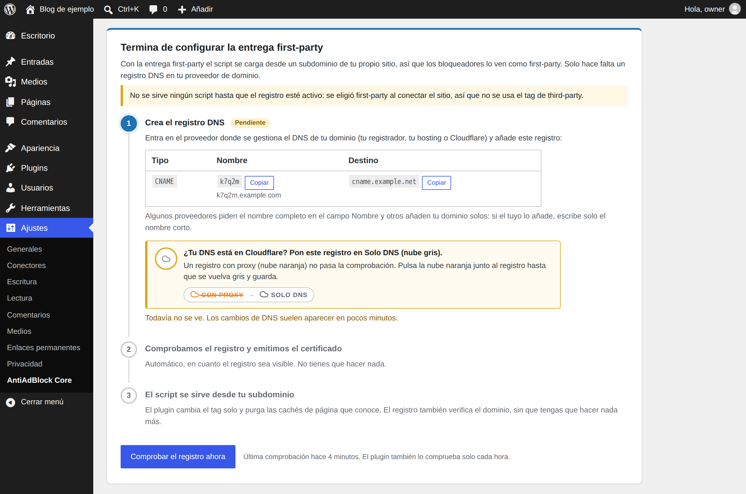 First-party delivery: the setup steps and the single CNAME record to create.