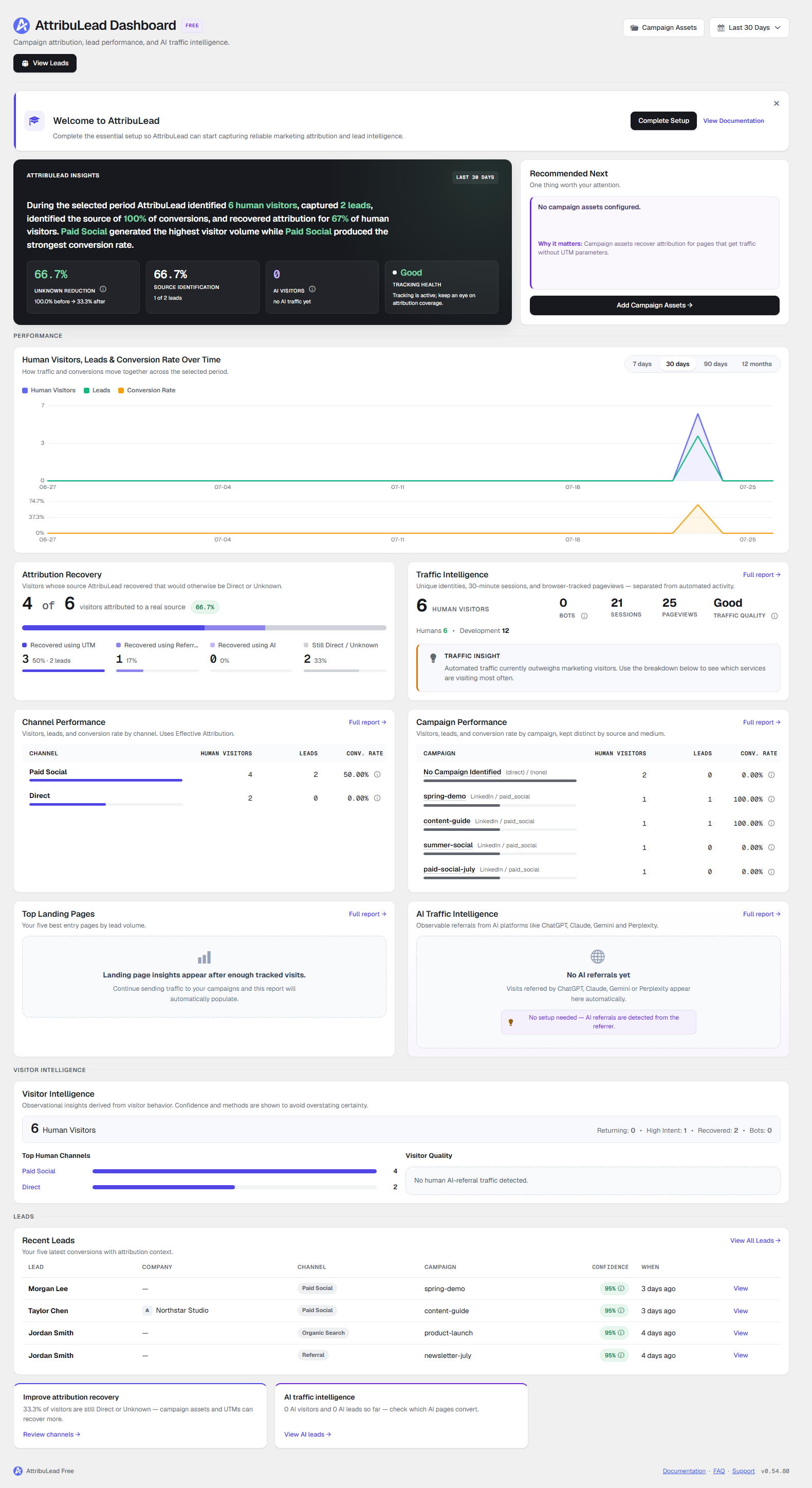 Dashboard with visitor, channel, campaign, and traffic summaries.