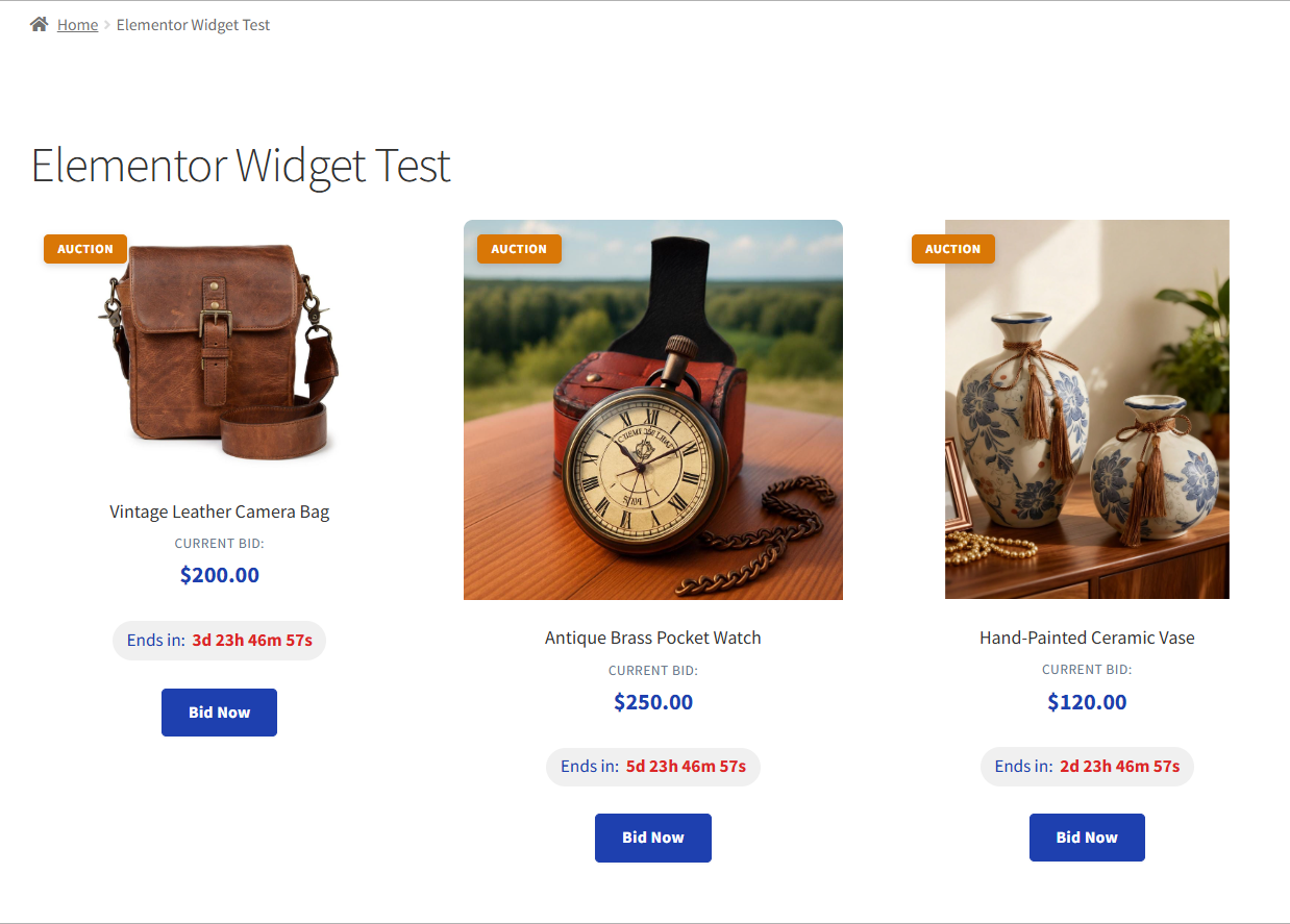 The Elementor Auction Grid widget, for building auction pages visually.