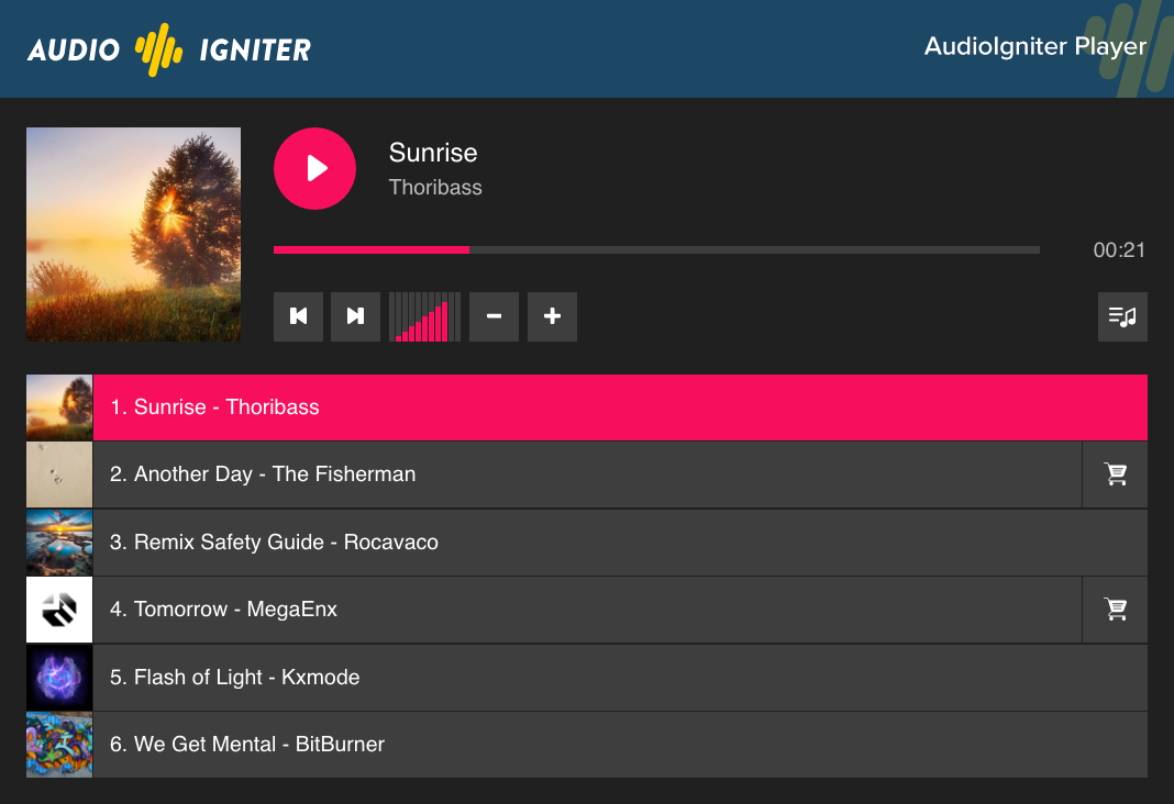 AudioIgniter Music Player