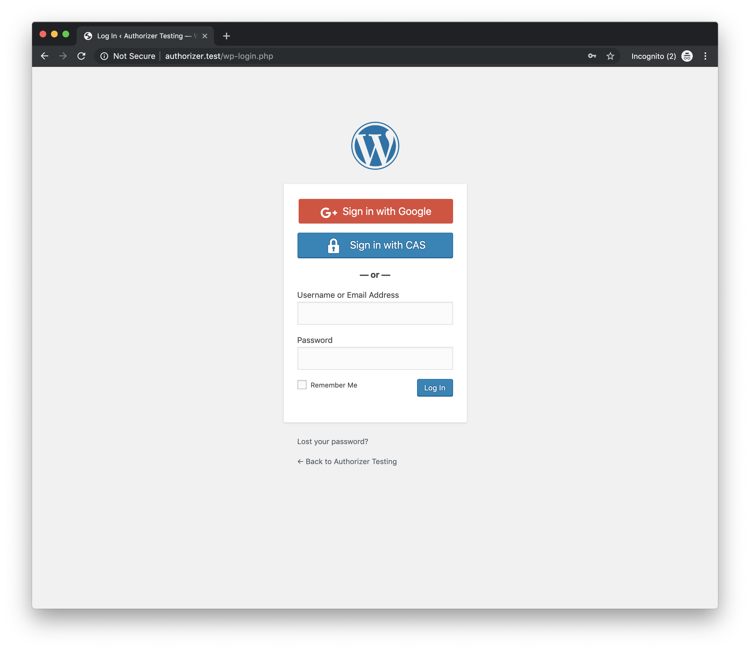 WordPress Login screen with Google Logins and CAS Logins enabled.