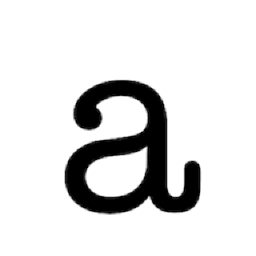 Auto Capitalize & UPPERCASE Names and Addresses Icon