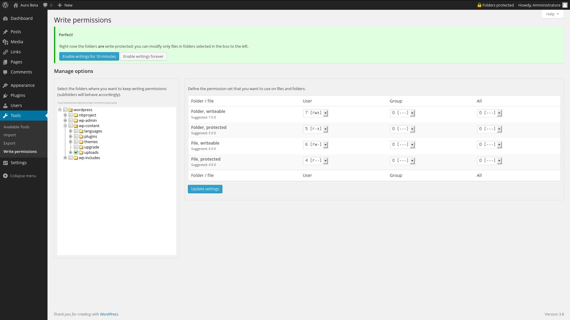 The config page when protection is active.