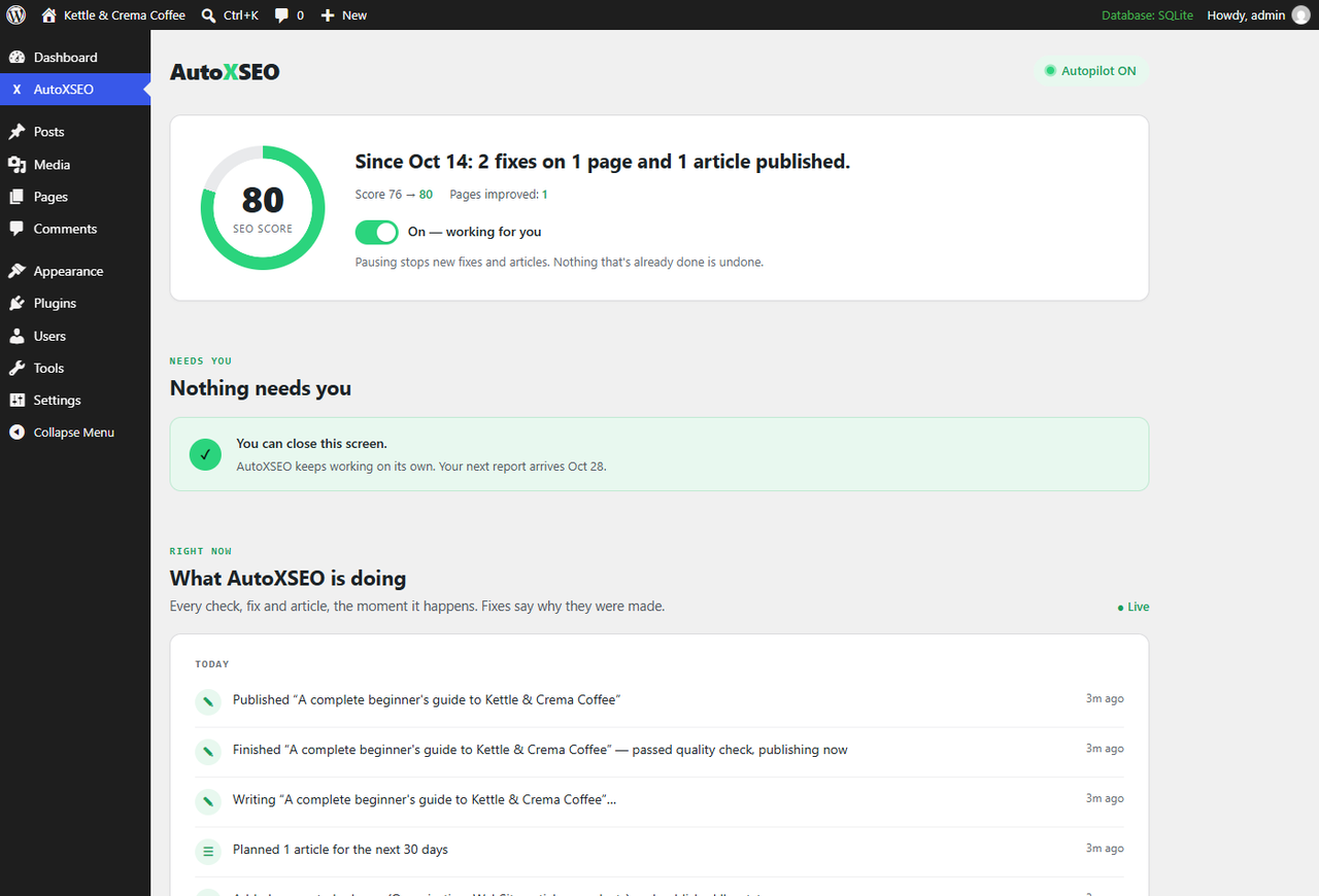 The AutoXSEO screen: what happened, what needs you, live activity — read top to bottom.