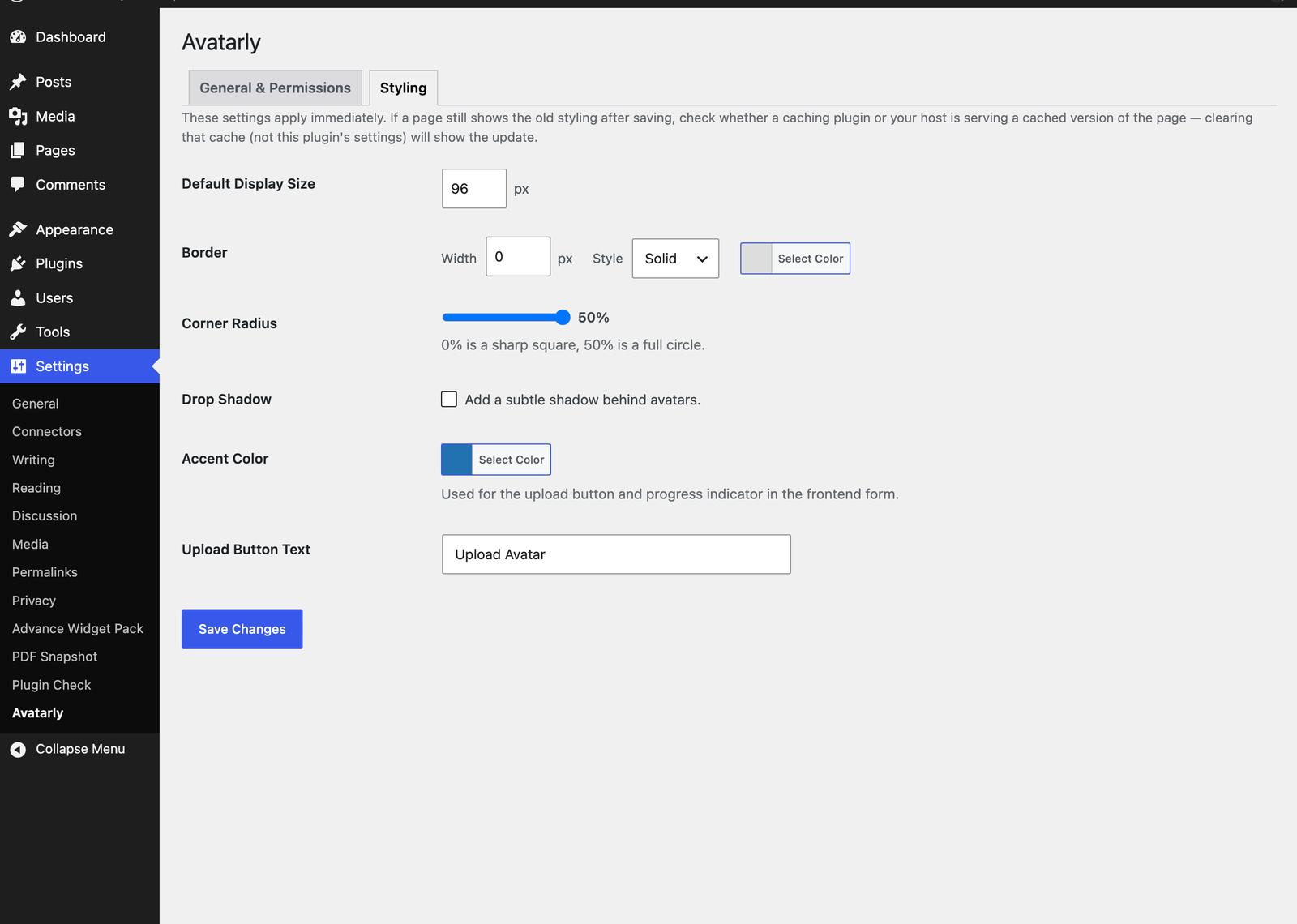 Settings screen — Styling tab.