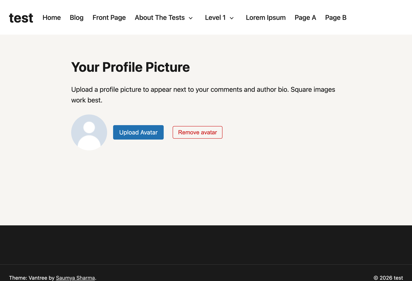 Front-end avatar upload form (shortcode/widget/block).