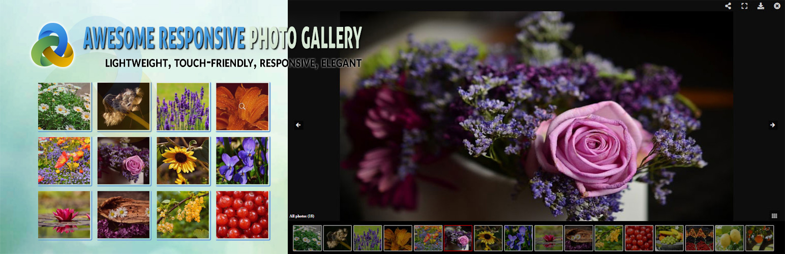 Awesome Responsive Photo Gallery – Image & Video Lightbox Gallery