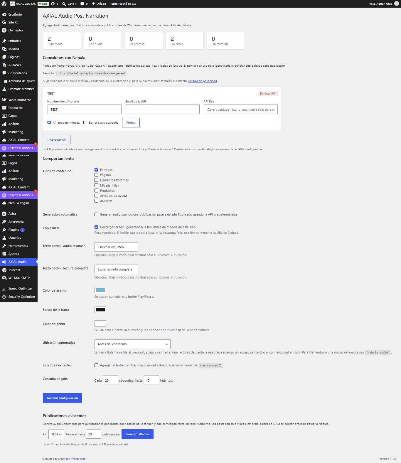 Main plugin settings and API connections in WordPress.