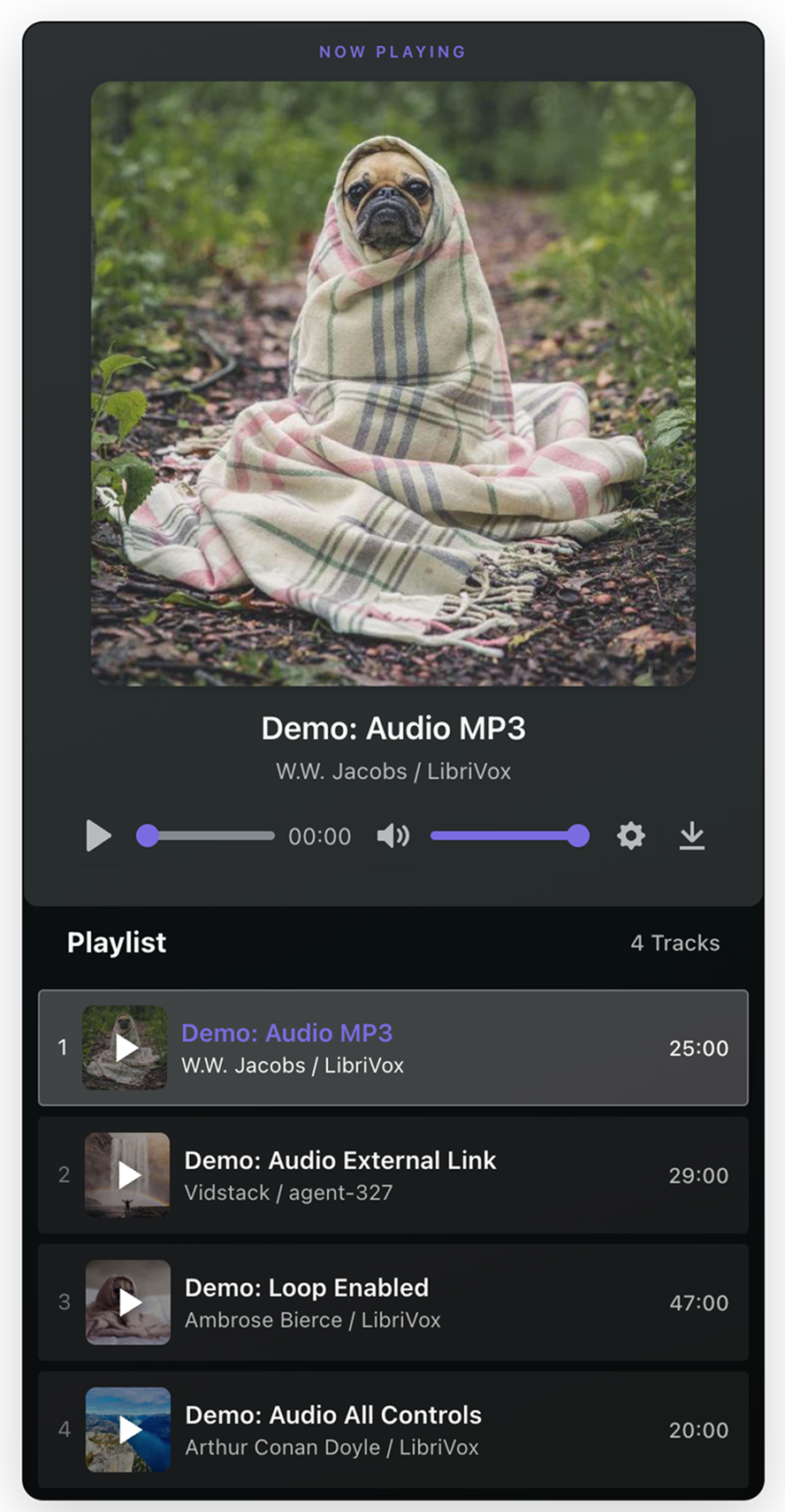 Audio playlist with now playing card