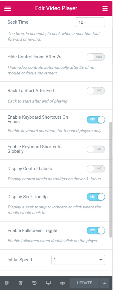 Elementor Video Player Addon Options - Additional video player settings