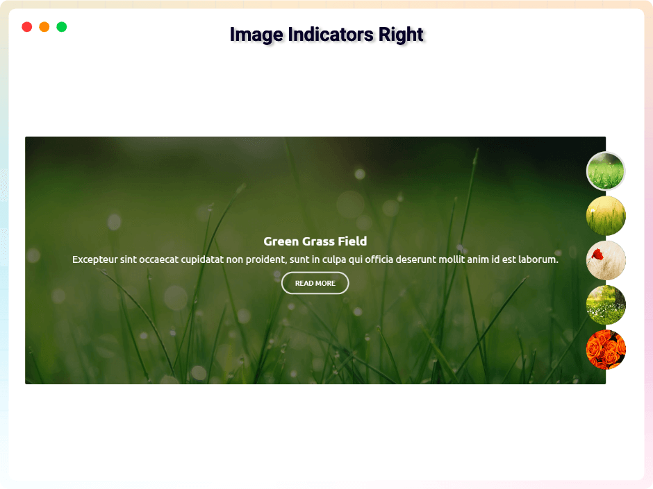 Image Indicator Right