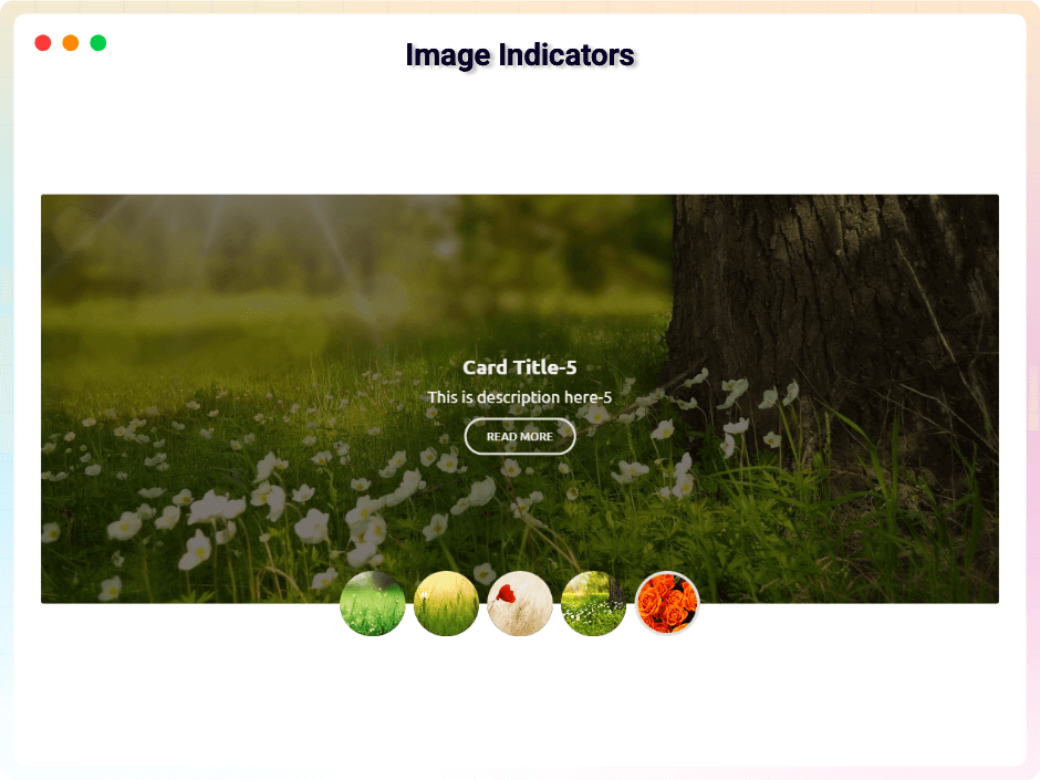 Image Indicators