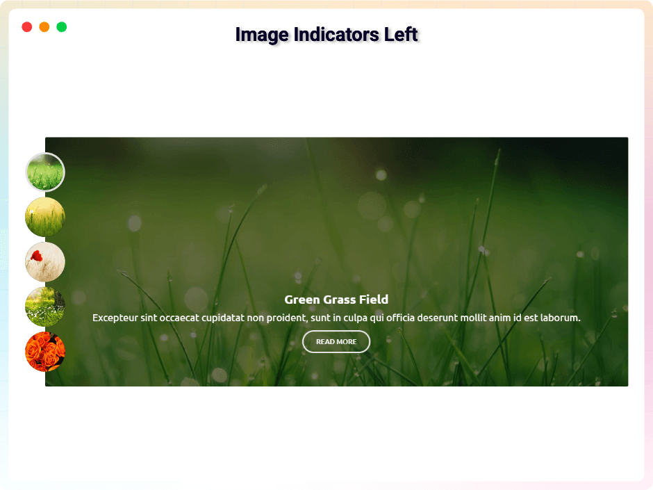 Image Indicators Left