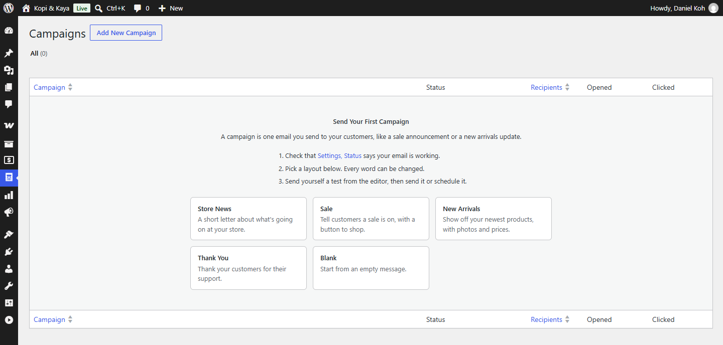Your first campaign: check that email works, pick a layout, send yourself a test.