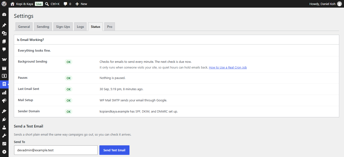 Status: is email working, including your sender domain's records.