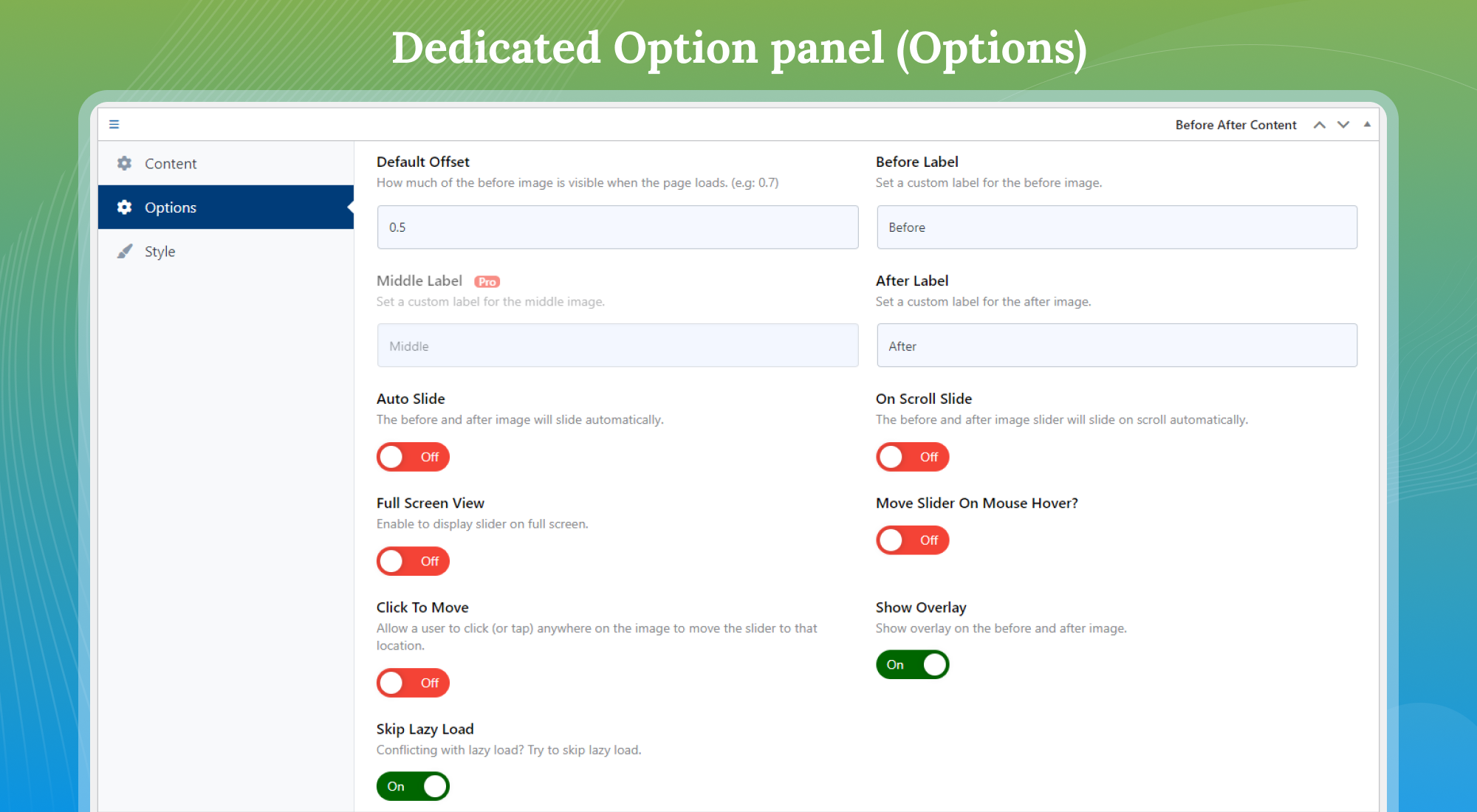 Dedicated Option Panel (Control Settings)