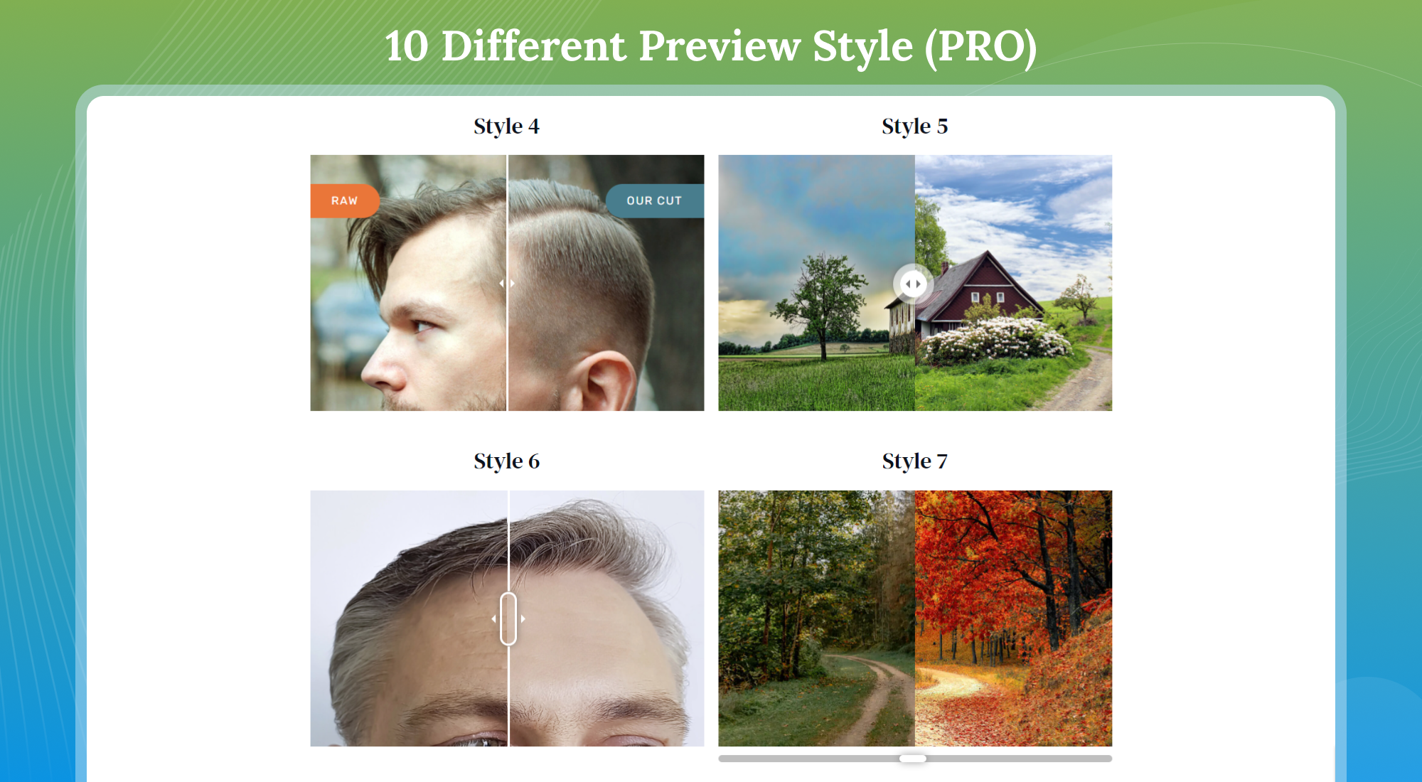 10 Different Preview Styles (Pro)