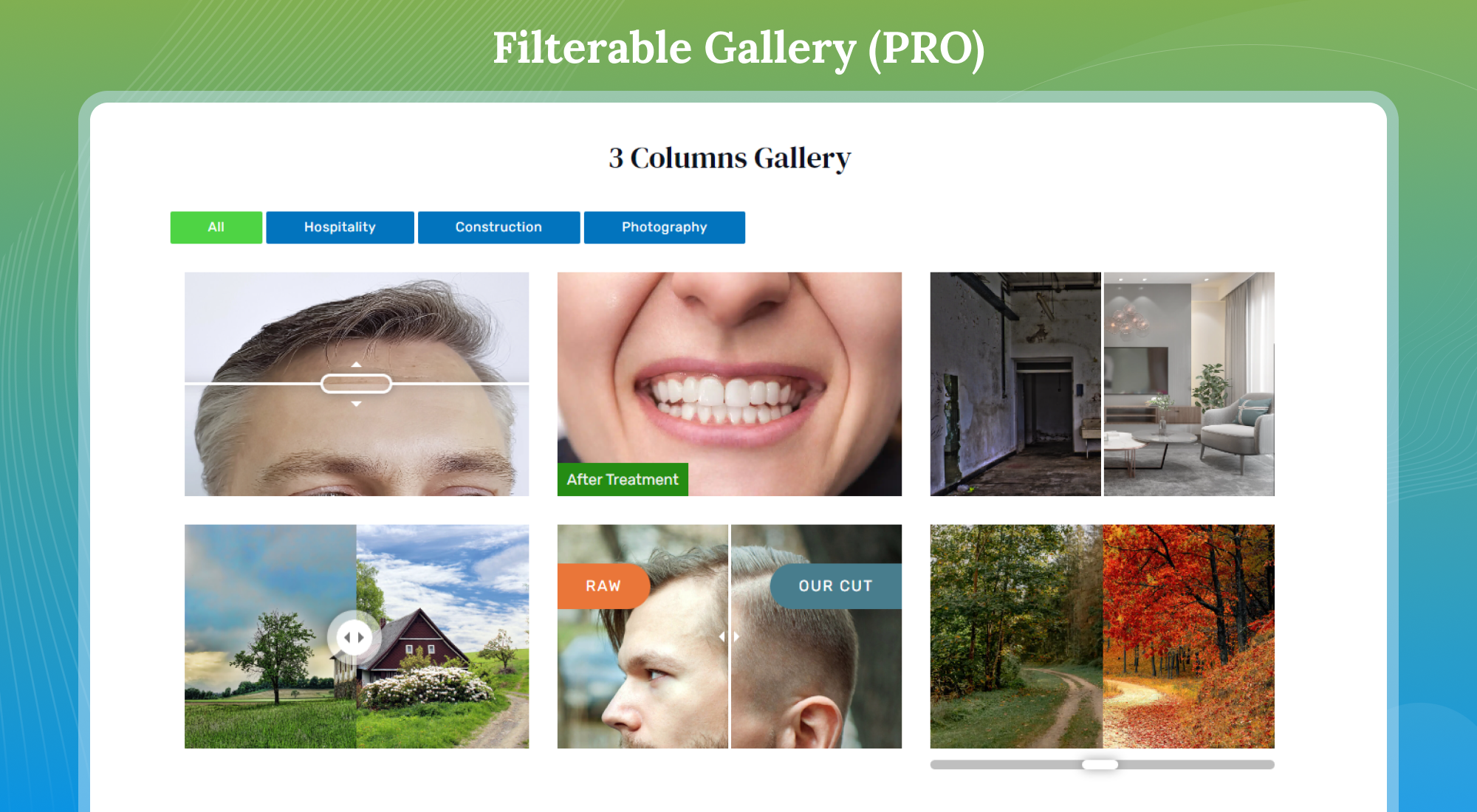 Filterable Gallery View (Pro)