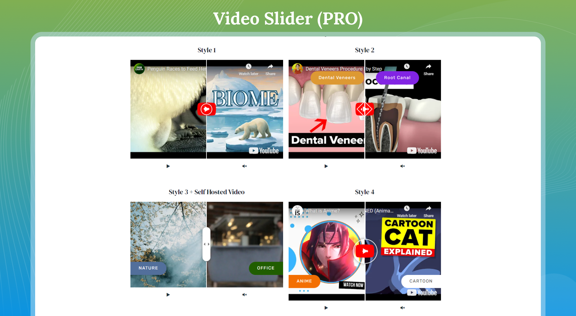 Video Slider (Pro)